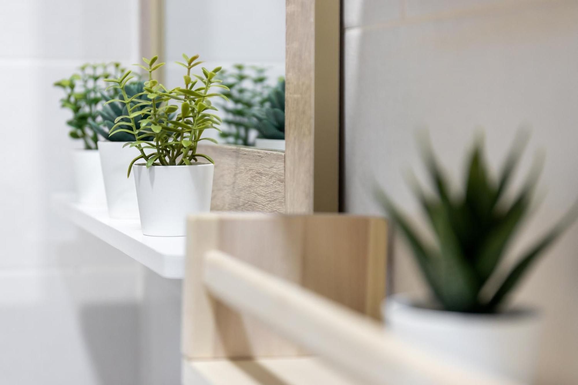 그라나다 El Patio Del Arquitecto 아파트 외부 사진